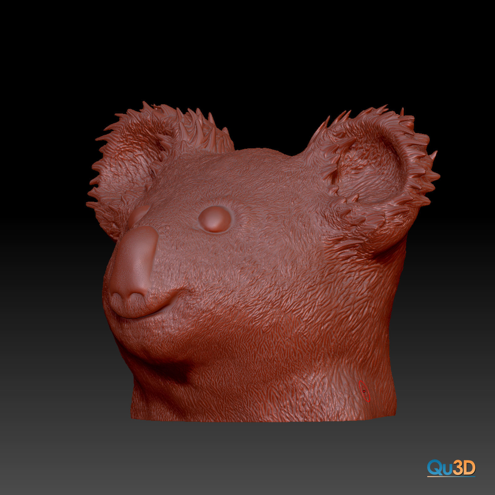 Koala Head and Face Bust - 3D Print Model High-Polygon Free 3D print model_2
