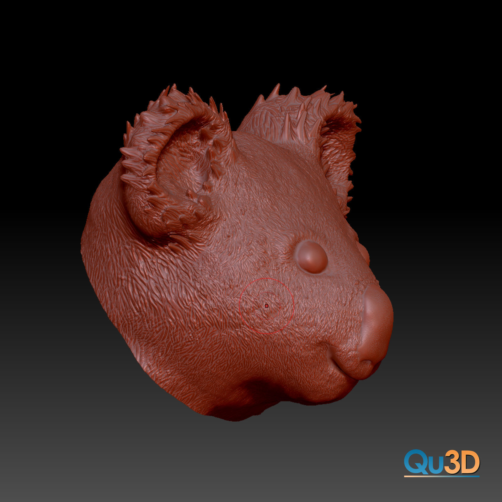 Koala Head and Face Bust - 3D Print Model High-Polygon Free 3D print model_7