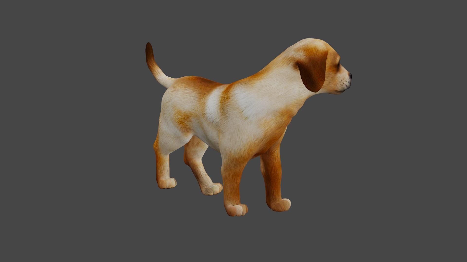 Dog X1 Low-poly 3D model_1