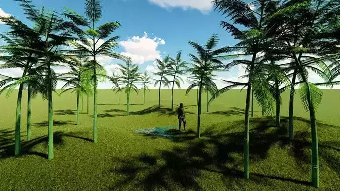 schizolobium parahyba