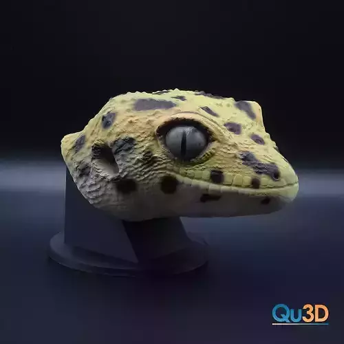 Eublepharis macularius-High-end 3D print model highpoly 3D print model