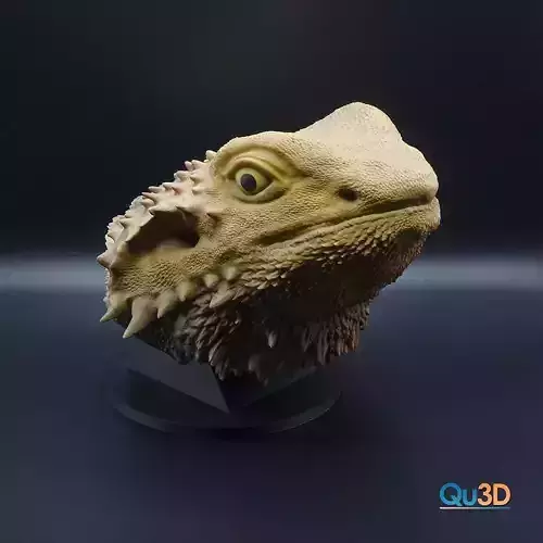 Pogona viticeps-High-end 3D print model highpoly