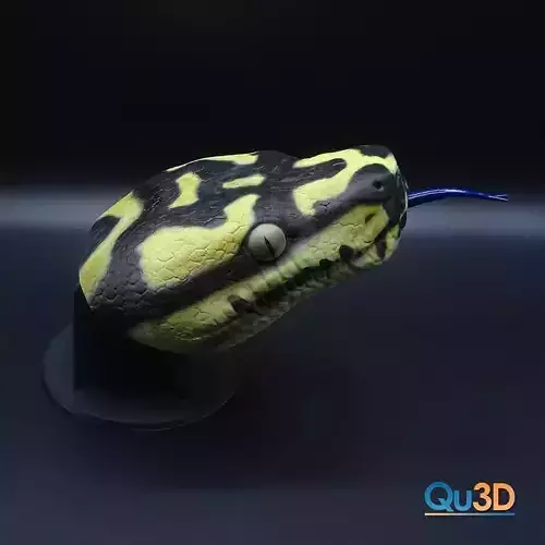 Morelia Spilota-High-end 3D print model highpoly