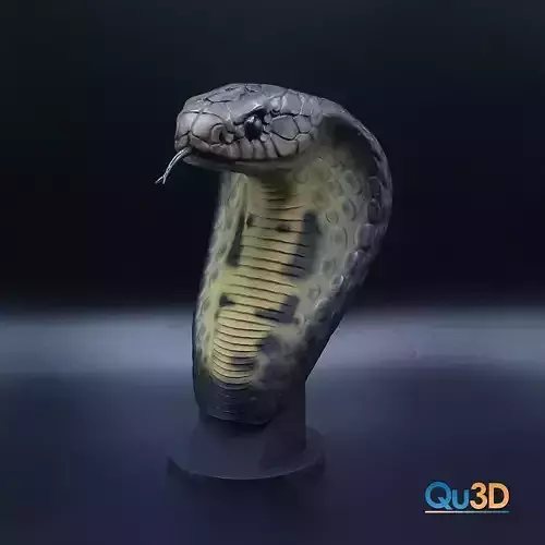 Ophiophagus-hannah -STL-3D print-file High-Polygon 3D print model