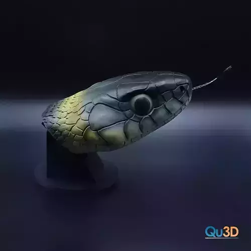 Natrix-natrix-3D print model highpoly