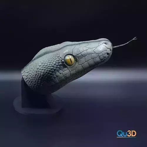Malayopython reticulatus-High-end 3D print model highpoly