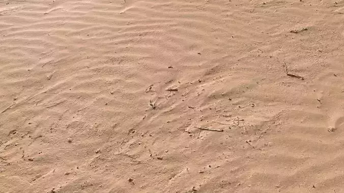 Sand Beach 07 PBR Low-poly 3D model