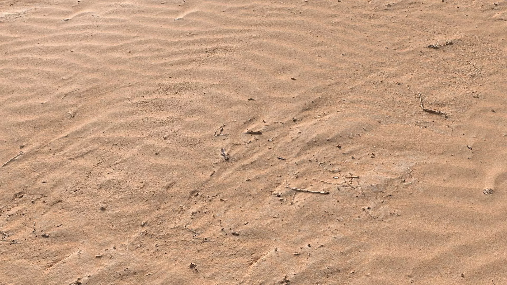 Sand Beach 07 PBR Low-poly 3D model