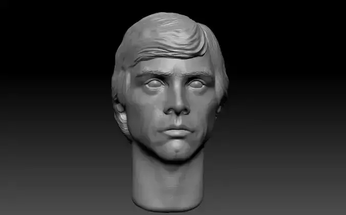Luke Skywalker - Mark Hamill HeadSculpt 3D print model 3D print model