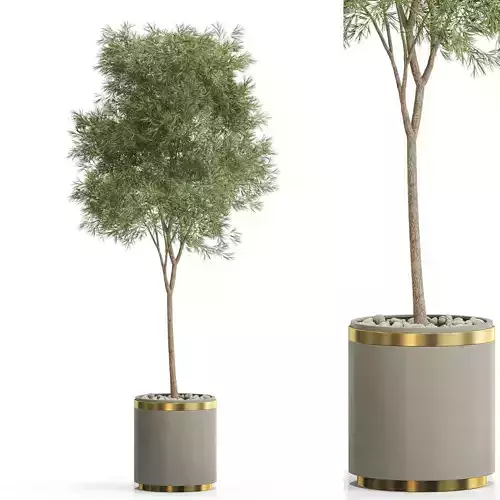 Plants collection 648 3D model