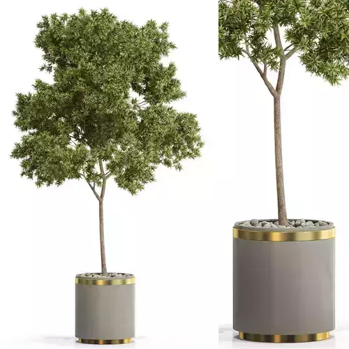Plants collection 649 3D model