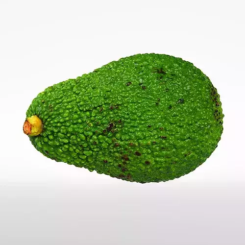 Avocado 3D model 6