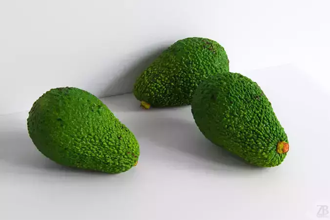 Avocado 3D model