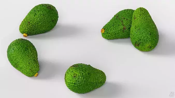 Avocado 3D model 3