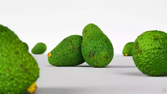 Avocado 3D model 2