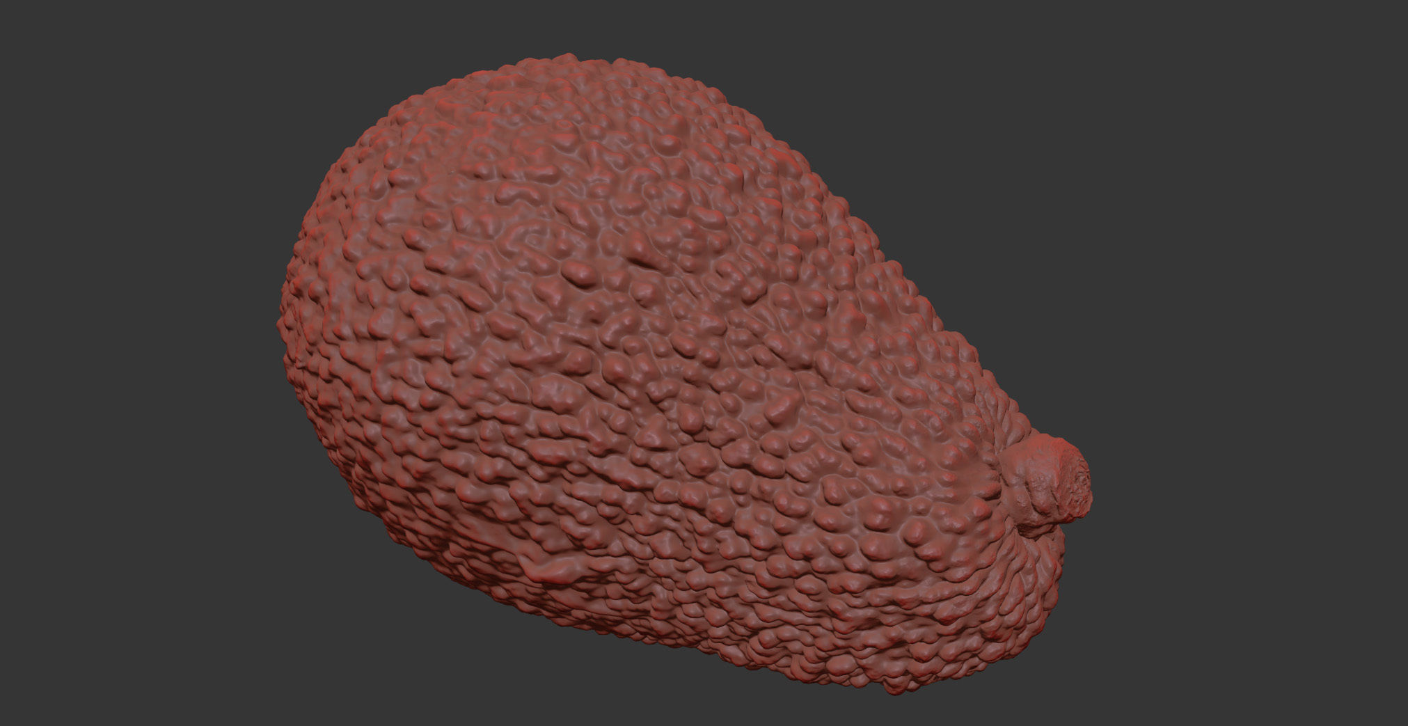 Avocado 3D model_10