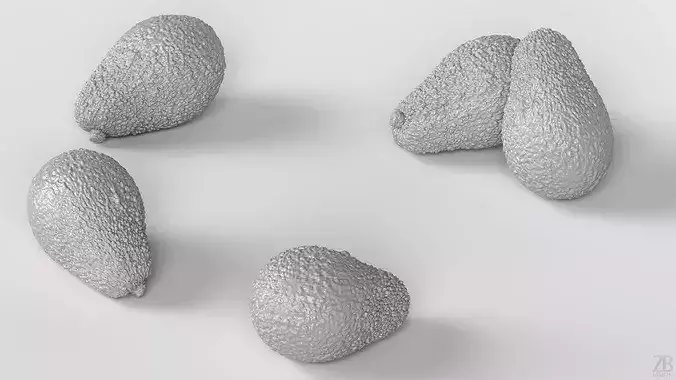 Avocado 3D model 4