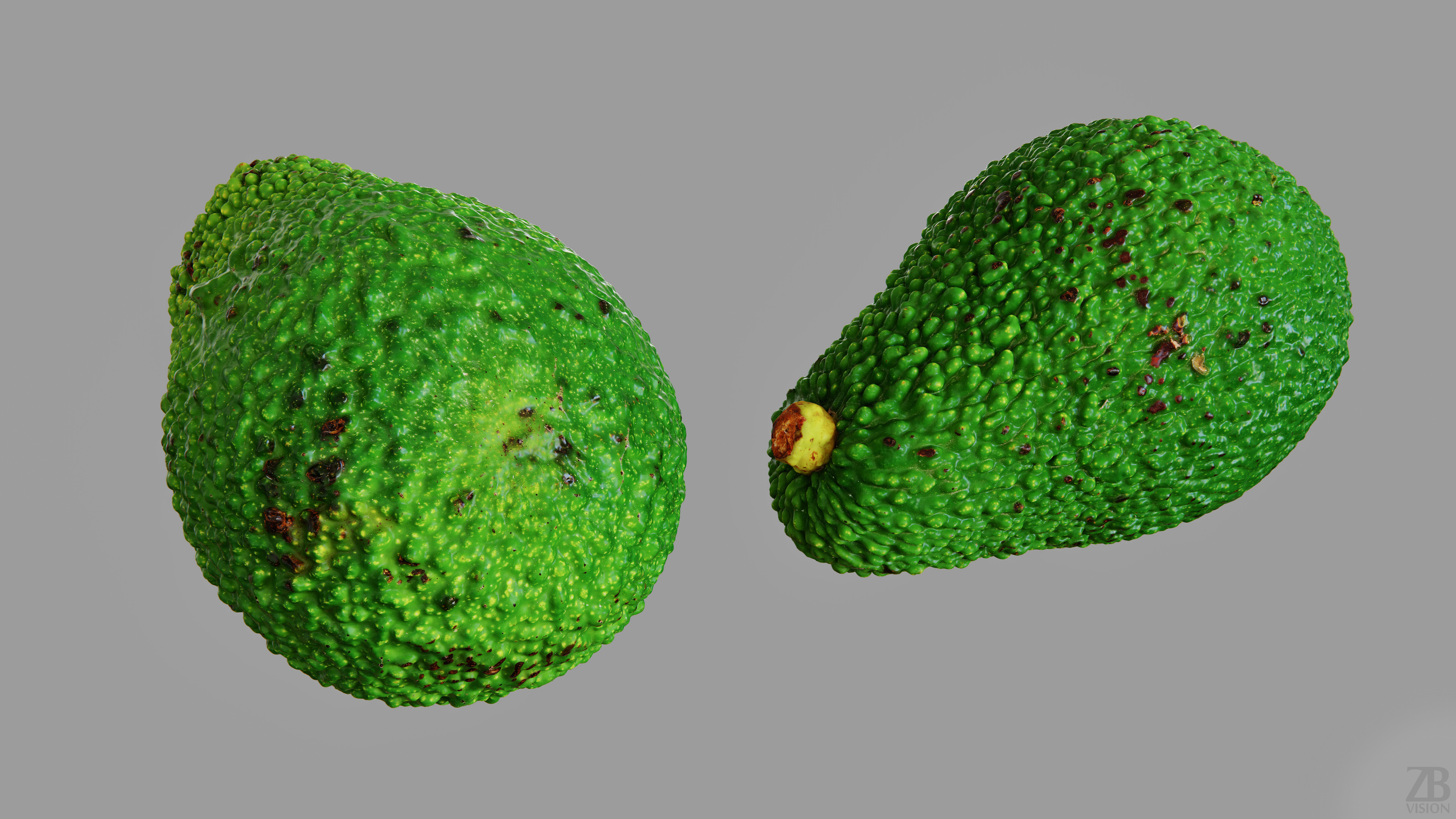 Avocado 3D model_12