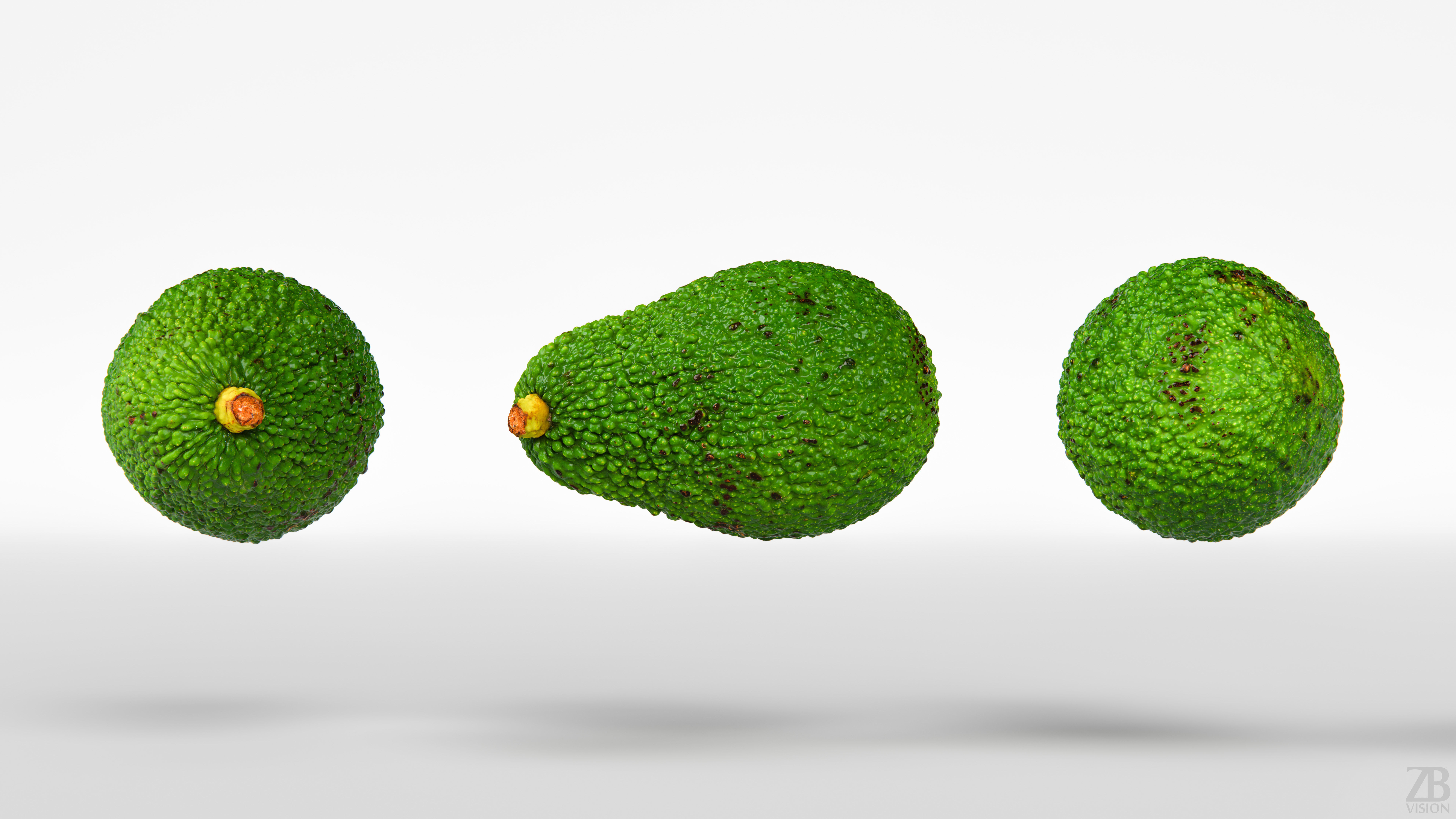 Avocado 3D model_4