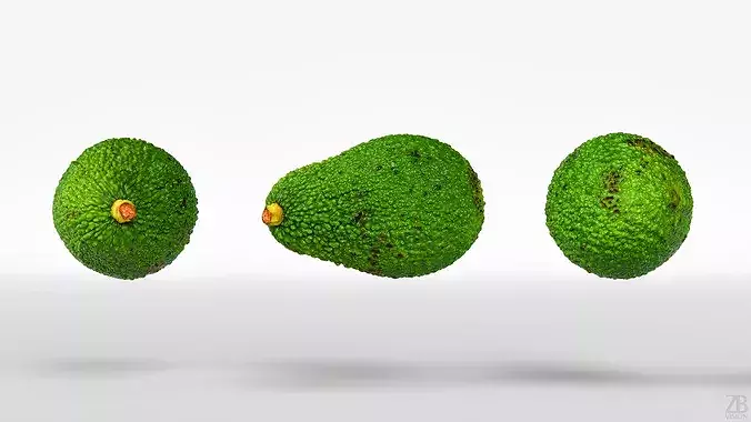 Avocado 3D model 5