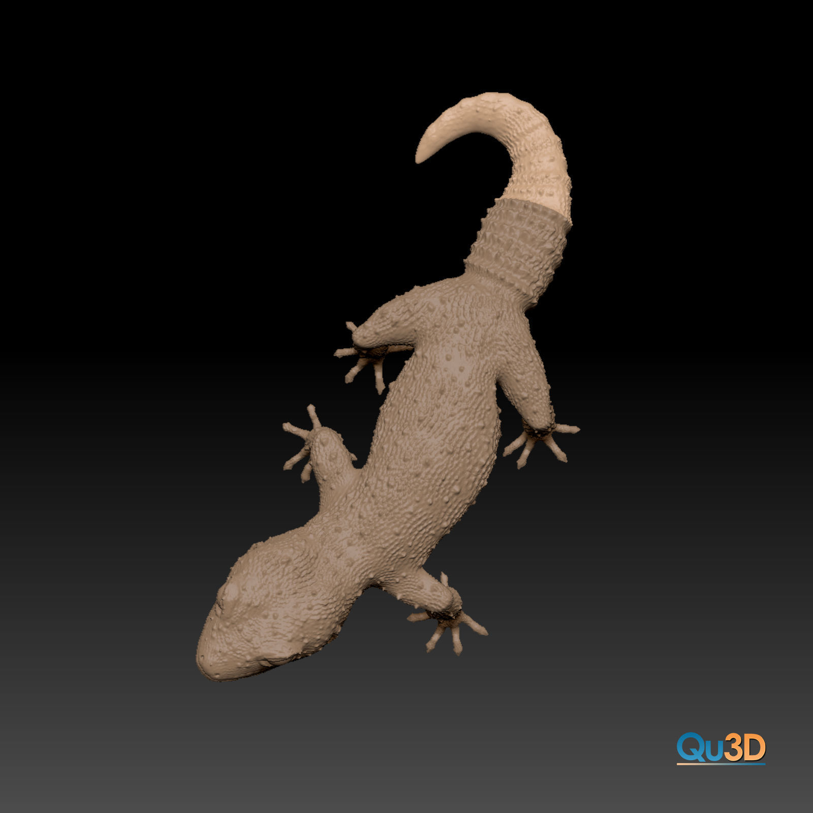 Leopard Gecko Female Eublepharis macularius STL 3D print model 3D print model_6