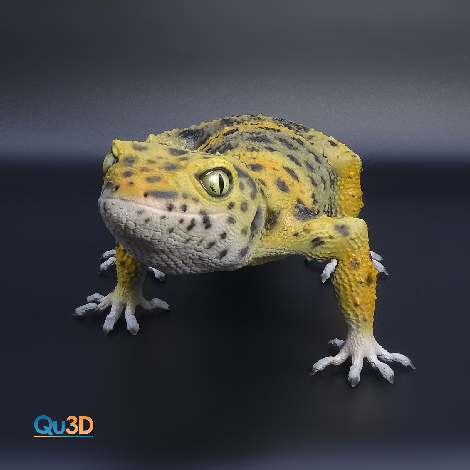 Leopard Gecko Female Eublepharis macularius STL 3D print model 3D print model_4