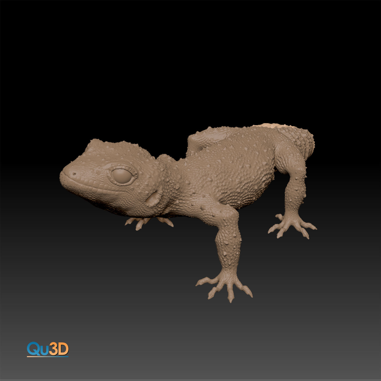 Leopard Gecko Female Eublepharis macularius STL 3D print model 3D print model_1