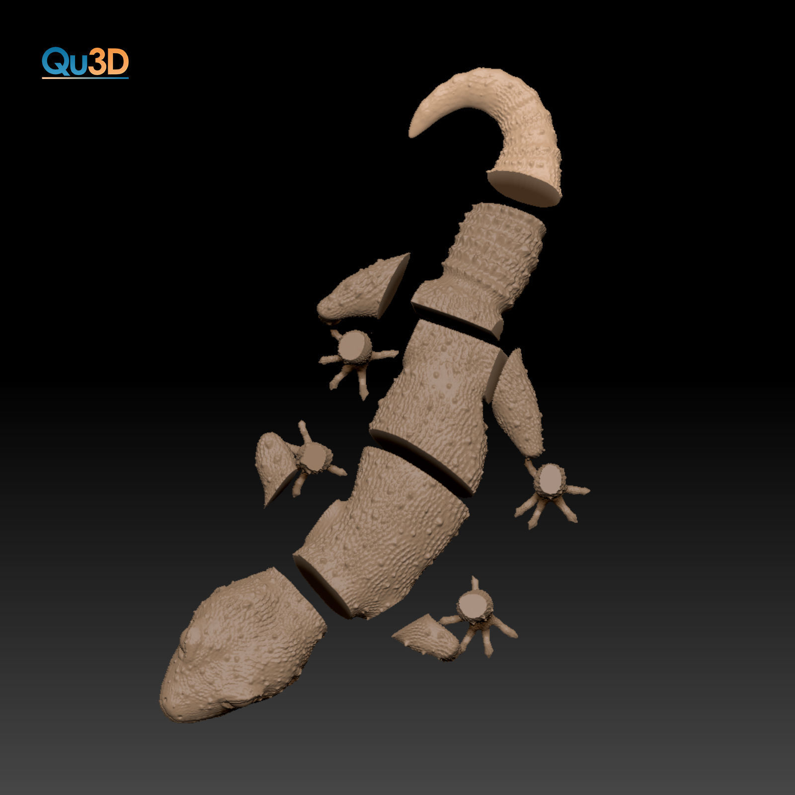Leopard Gecko Female Eublepharis macularius STL 3D print model 3D print model_7