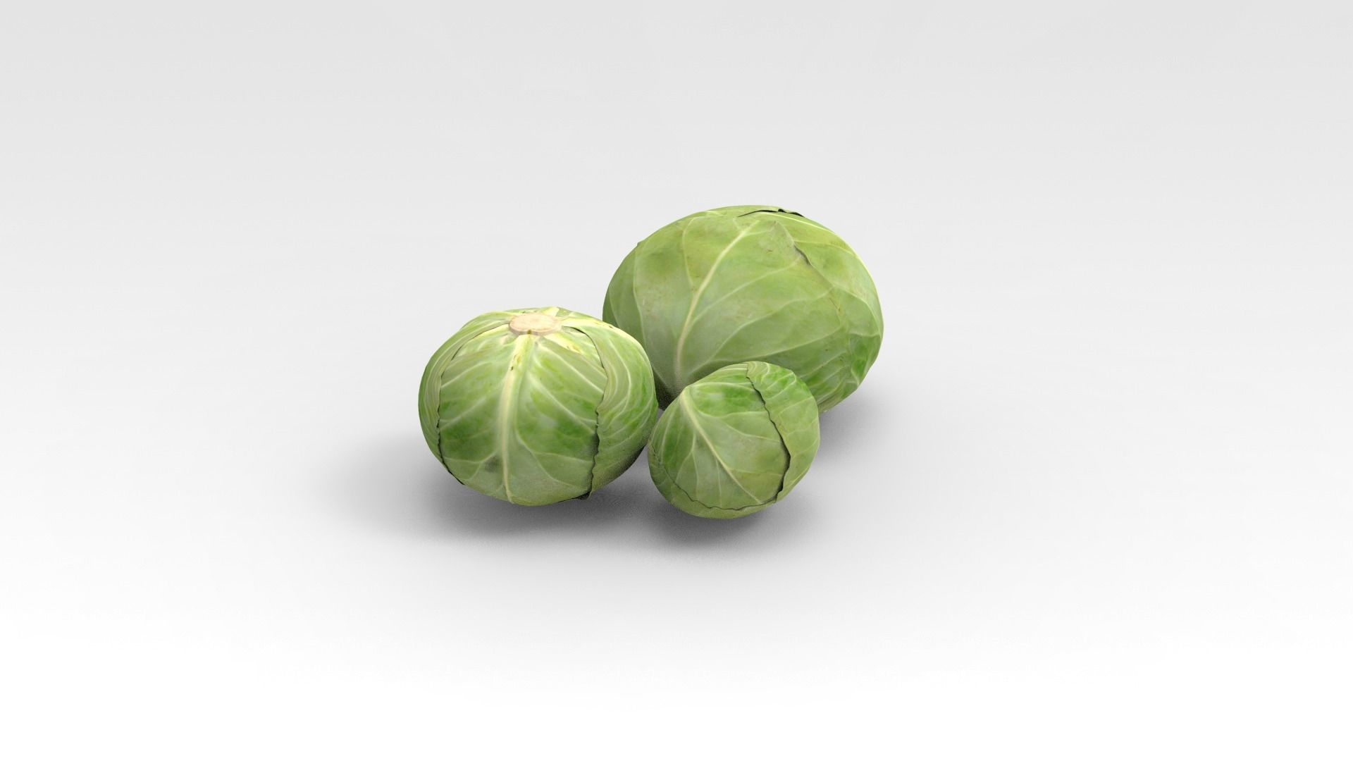 Cabbage three brussels sprouts 3D model_2