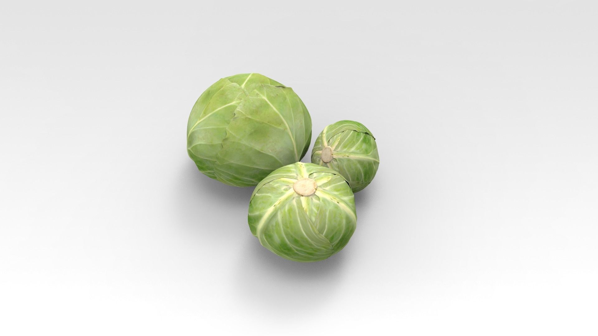 Cabbage three brussels sprouts 3D model_1