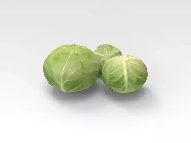 Cabbage three brussels sprouts