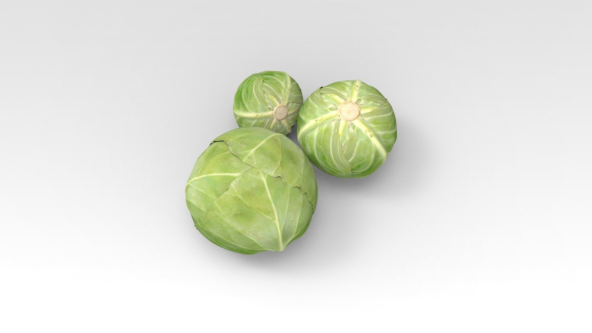 Cabbage three brussels sprouts 3D model_3