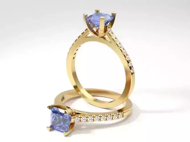 Cathedral Engagement Princess