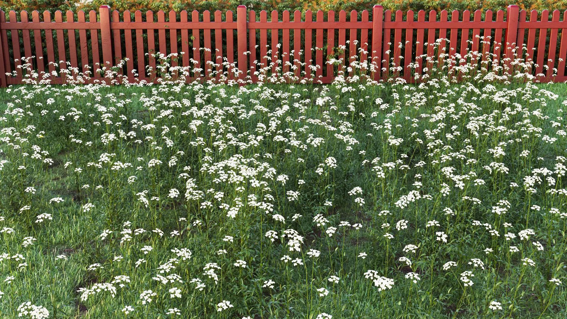 Cuckoo Flower 3D model_0