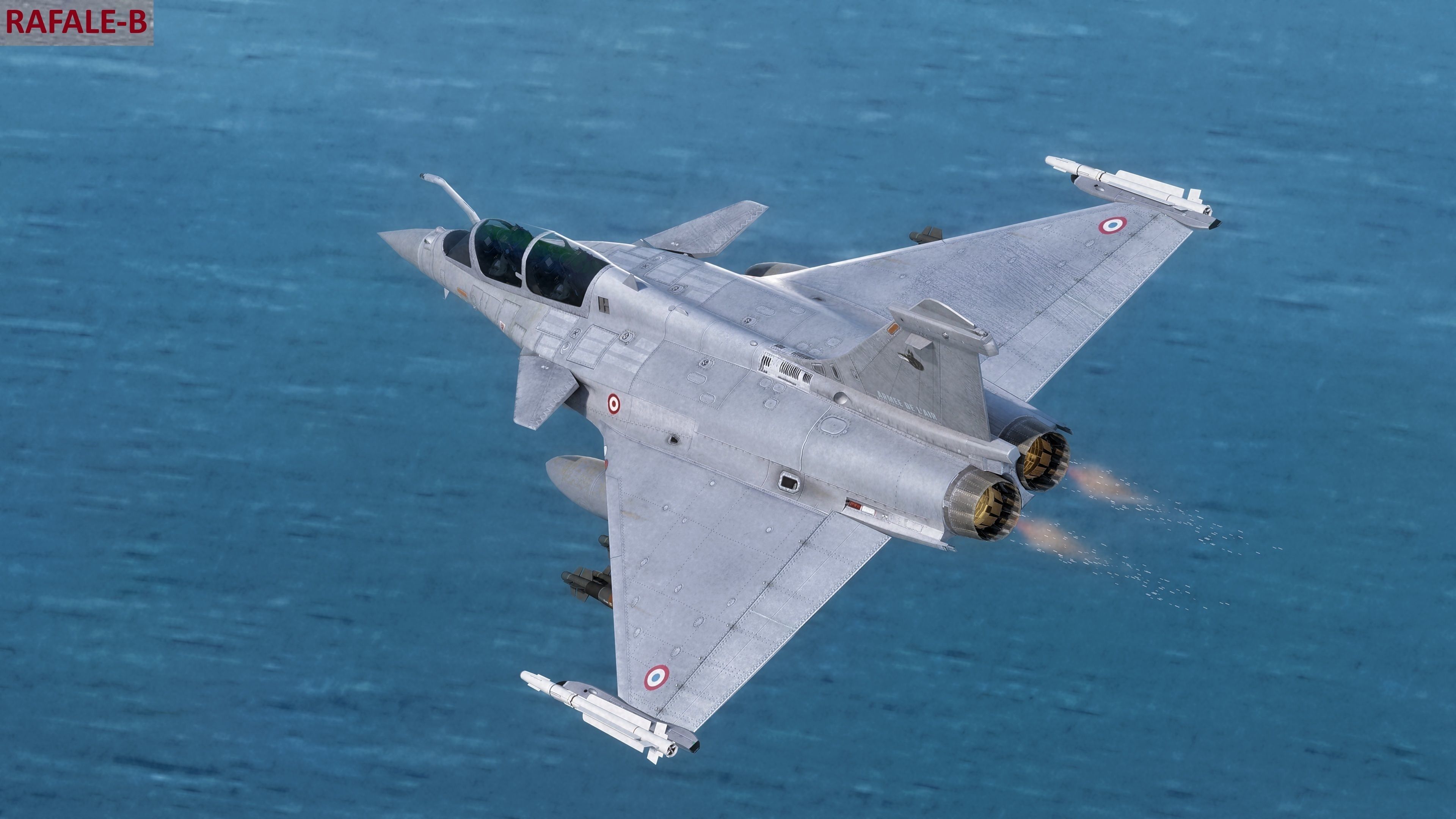 Dassault Rafale Collection - Rigged-High Resolution Cocpit Low-poly 3D model_49