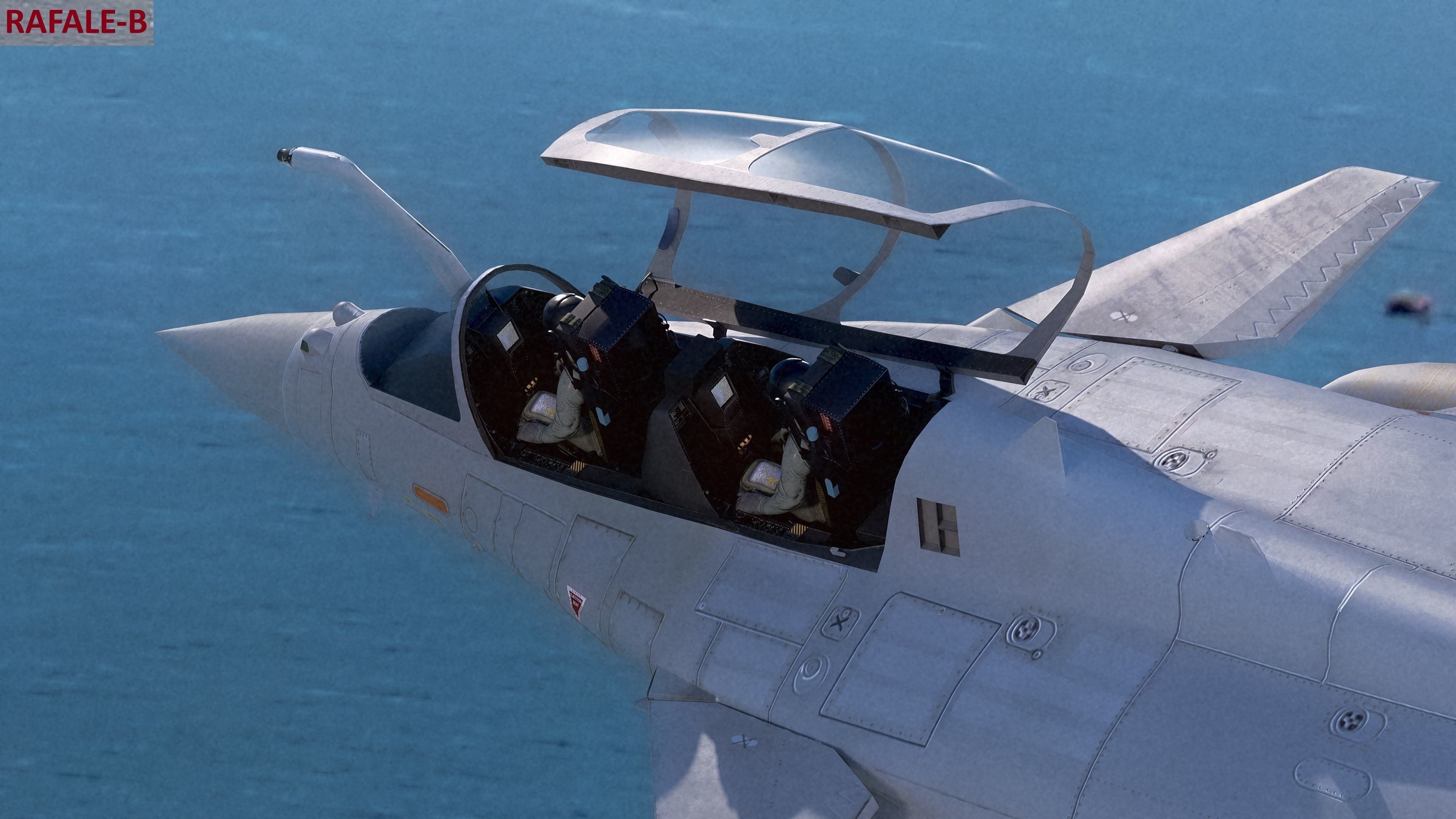 Dassault Rafale Collection - Rigged-High Resolution Cocpit Low-poly 3D model_50