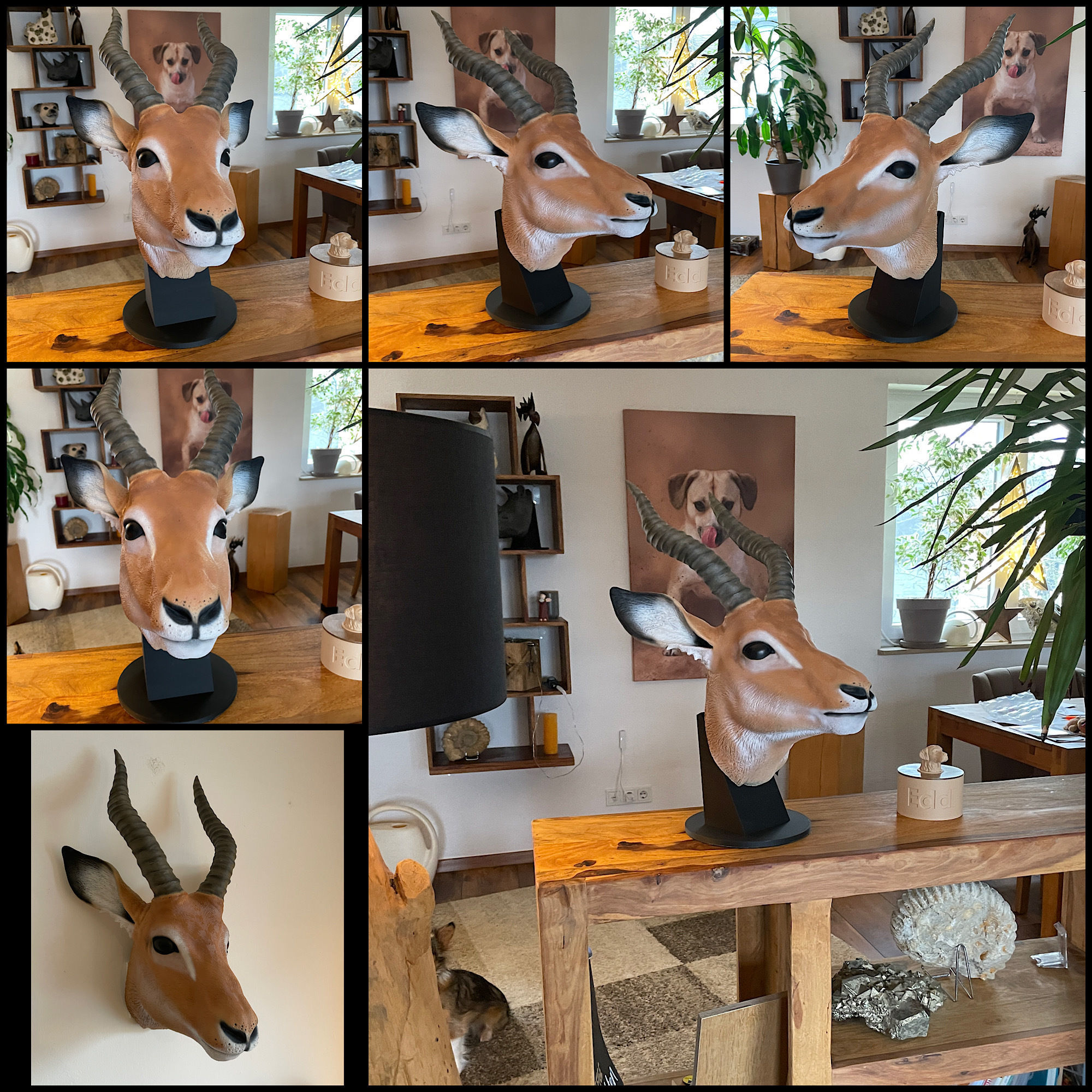 Impalla Antelope-High-end 3D print model High-polygon 3D print model_2