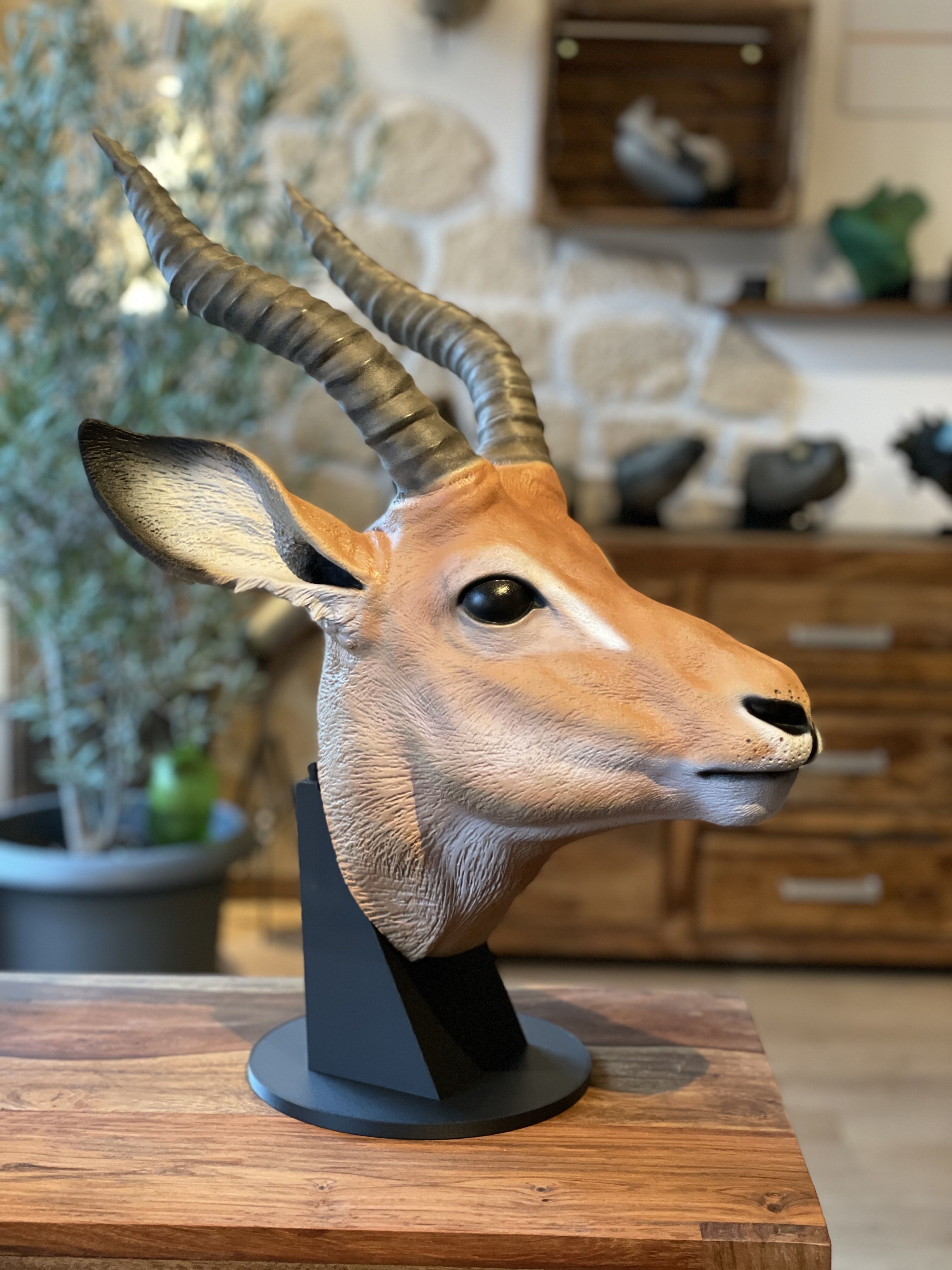 Impalla Antelope-High-end 3D print model High-polygon 3D print model_1