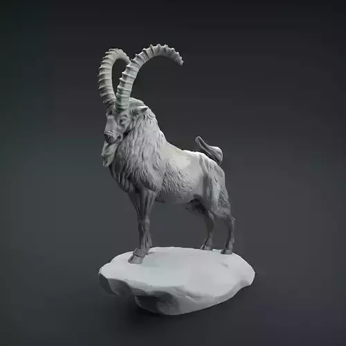 Siberian Ibex for 3D Printing 3D print model