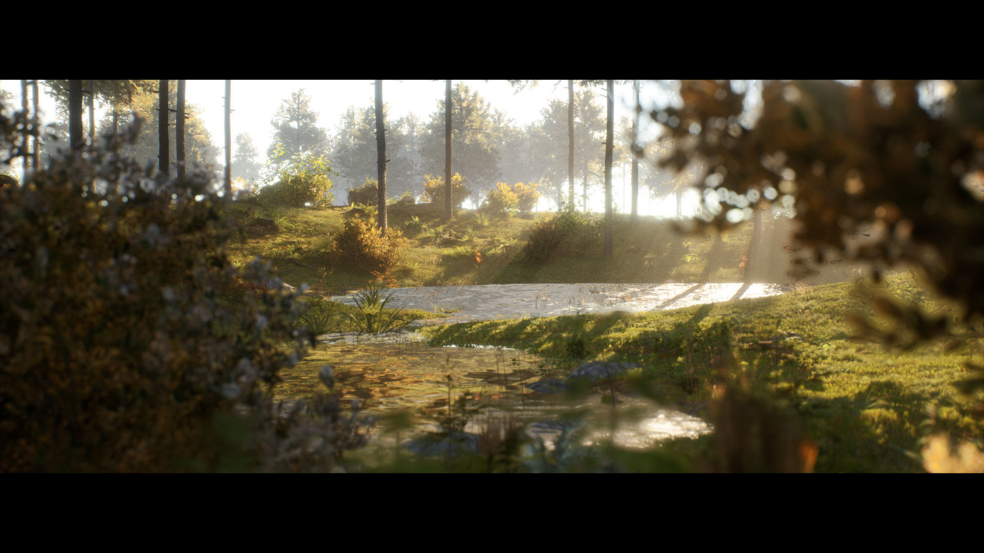 Forest Walk - Unreal Engine 4 Low-poly 3D model_12