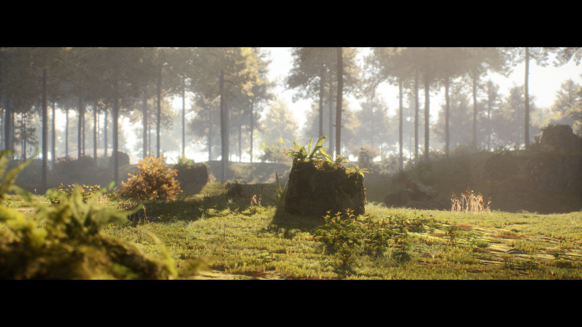 Forest Walk - Unreal Engine 4 Low-poly 3D model_10