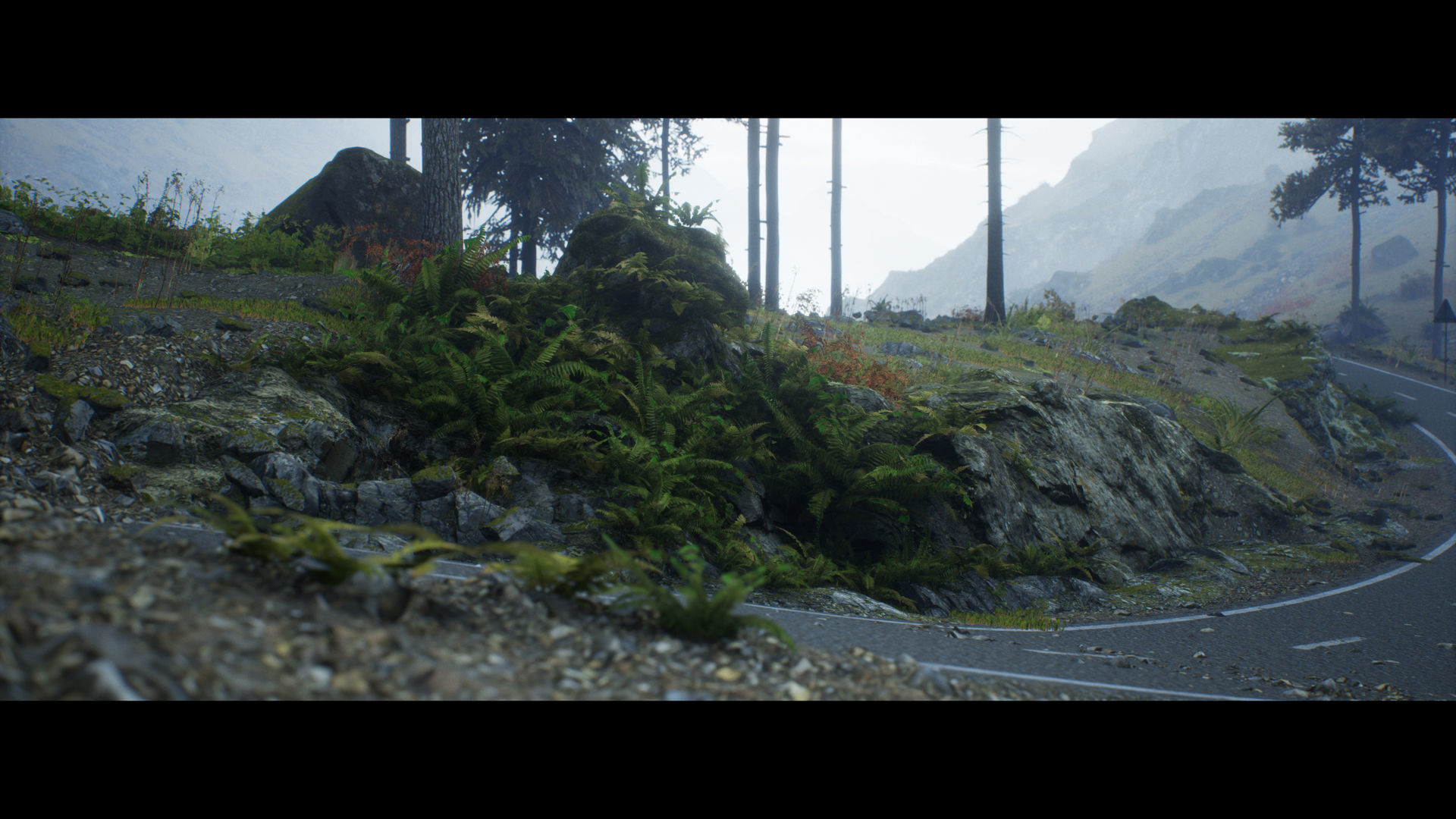 Forest Walk - Unreal Engine 4 Low-poly 3D model_8