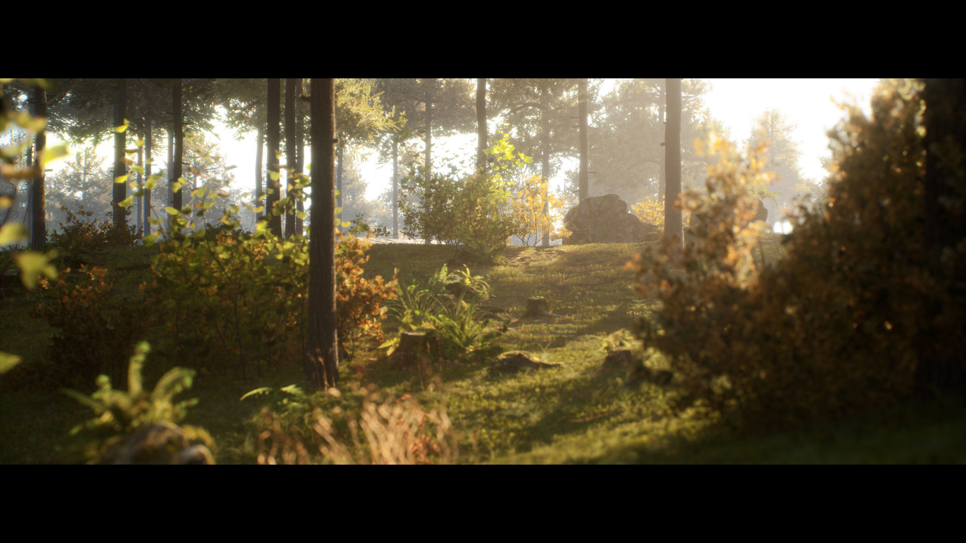 Forest Walk - Unreal Engine 4 Low-poly 3D model_11