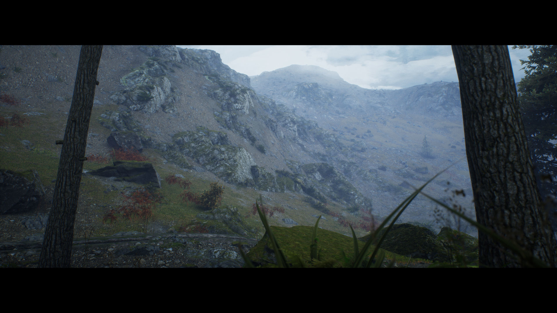 Forest Walk - Unreal Engine 4 Low-poly 3D model_5