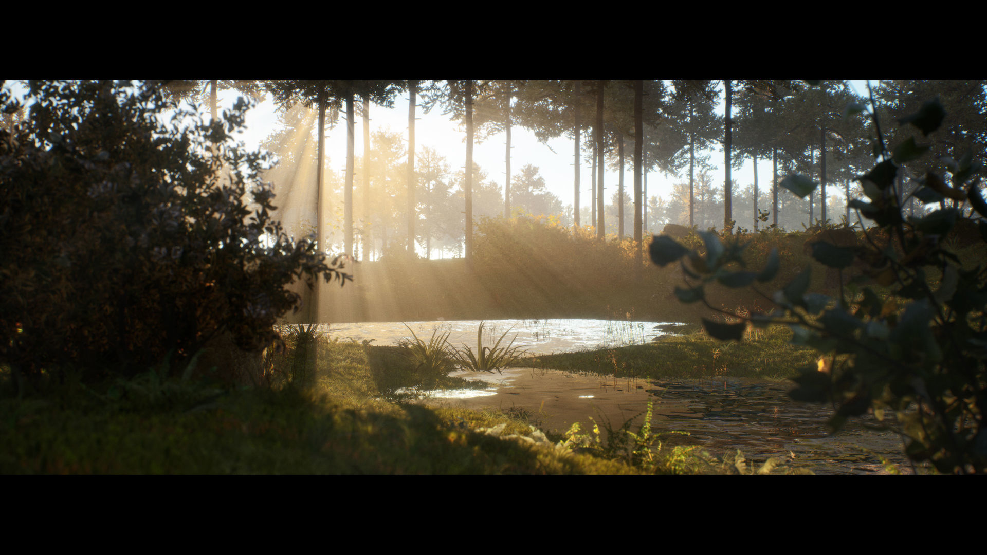 Forest Walk - Unreal Engine 4 Low-poly 3D model_13