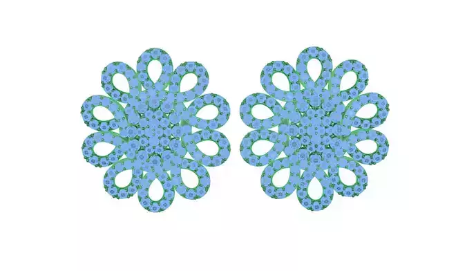 earring two flower shaped earrings