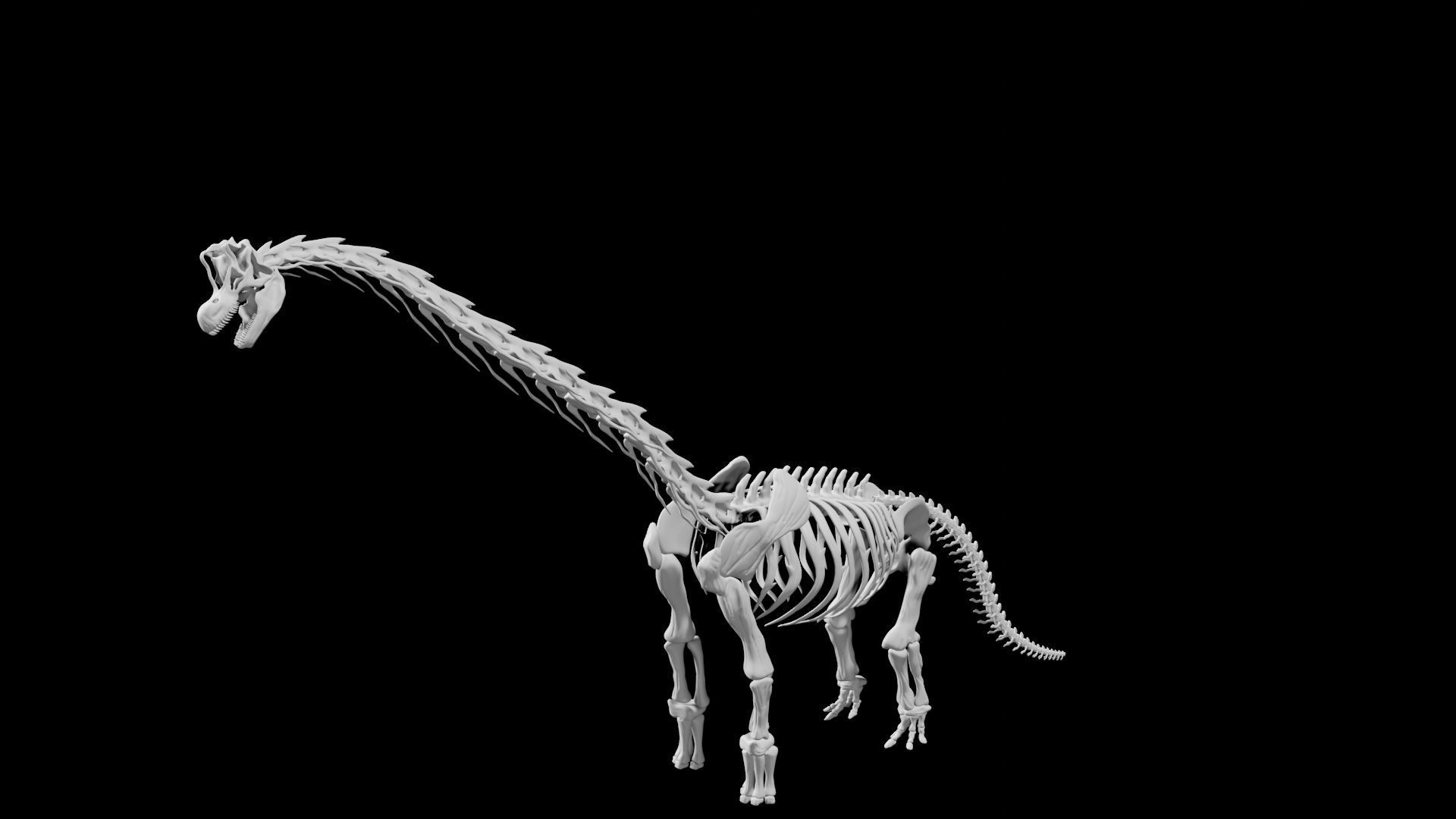 Brachiosaurus Skeleton Low-poly 3D model_1