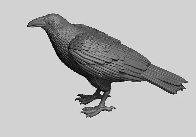 Raven 3D print model 3D print model