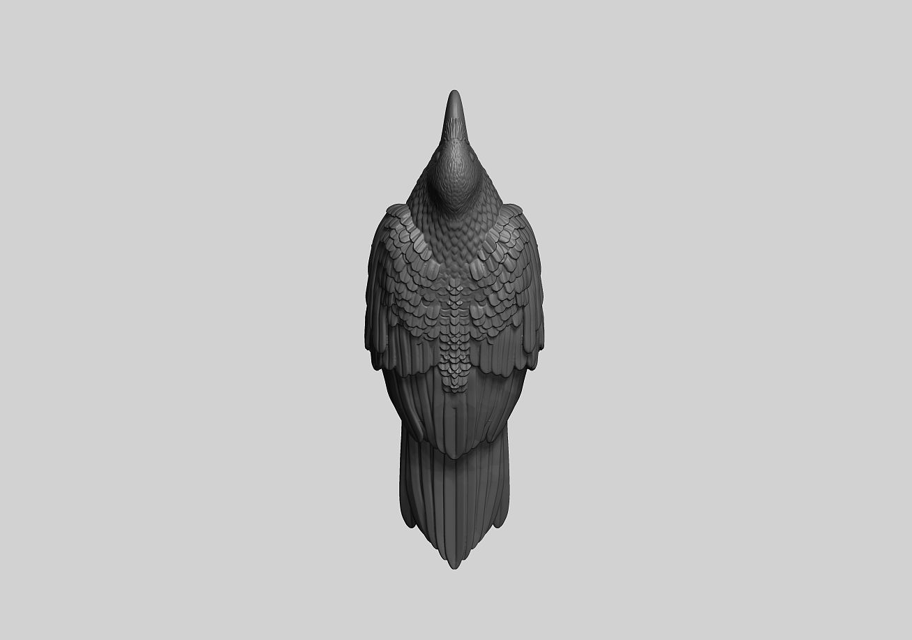 Raven 3D print model 3D print model_5