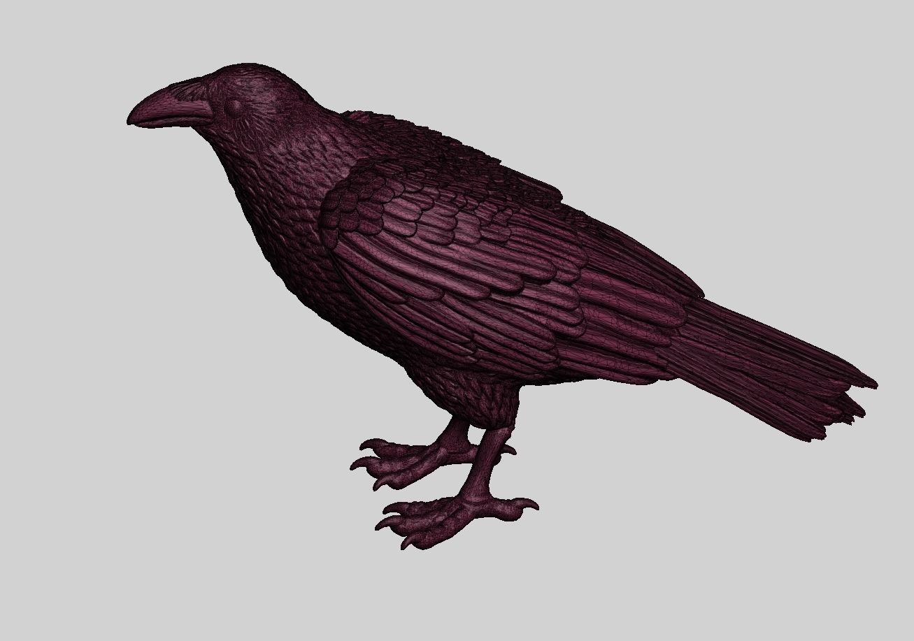 Raven 3D print model 3D print model_3